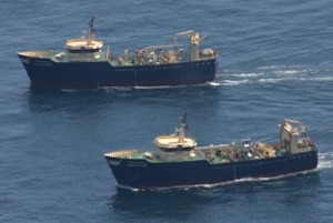 Paired midwater trawlers in New England waters.