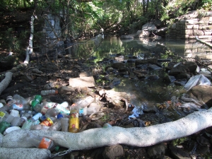 This Gunderboom full of trash, placed in the Hutchinson to contain a cooking oil spill earlier this summer, is downstream of the active sewage overflow at Beechwood and Farrell Avenues in Mount Vernon