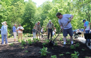 Volunteers planting along the Pequonnock River