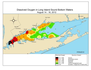 Severe hypoxic conditions in Long Island Sound during August