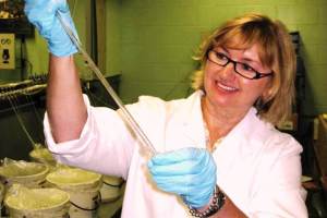 Diane Kapareiko sampling oyster larvae.