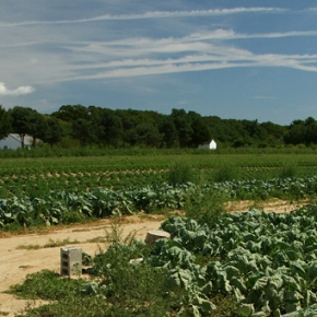 Farming to Improve Water Quality