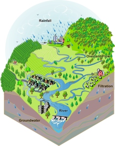 What is a watershed? Image via the Prairie Rivers Network.