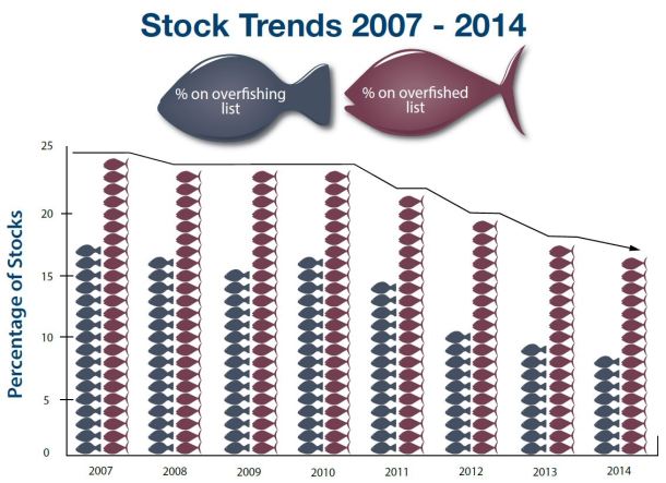 stock trends