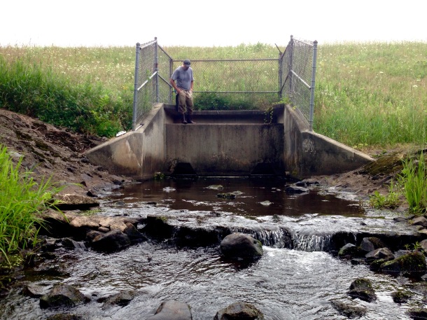 This culvert and earthen dam could be a fish barrier.
