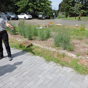 Launching phase two of the Beardsley Zoo green infrastructure project