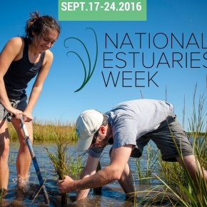 National Estuaries Week Events 2016
